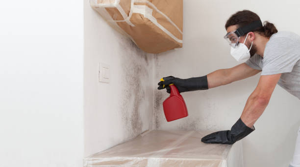 Professional Mold Remediation technician working in Mendham, NJ