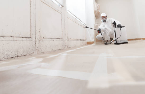 24/7 Emergency Mold Remediation experts in Mendham, NJ